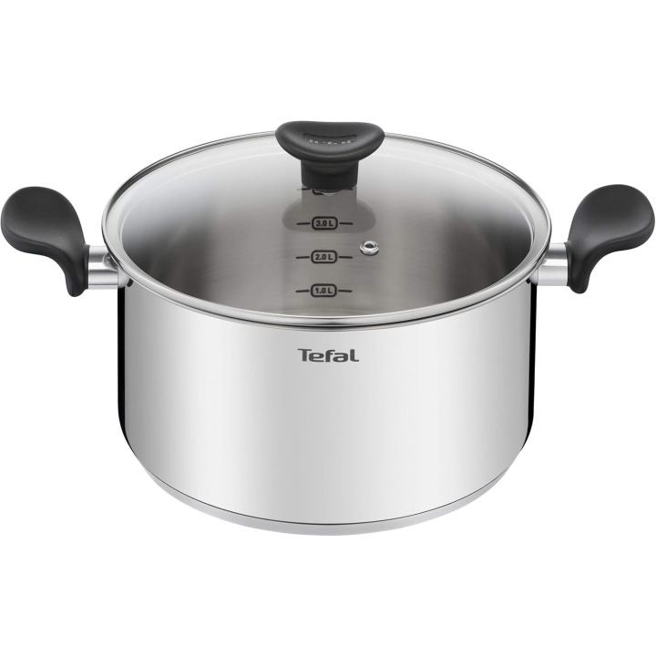 Tefal Stainless Steel Stewing Pot 24 cm with Glass Lid 5 L
